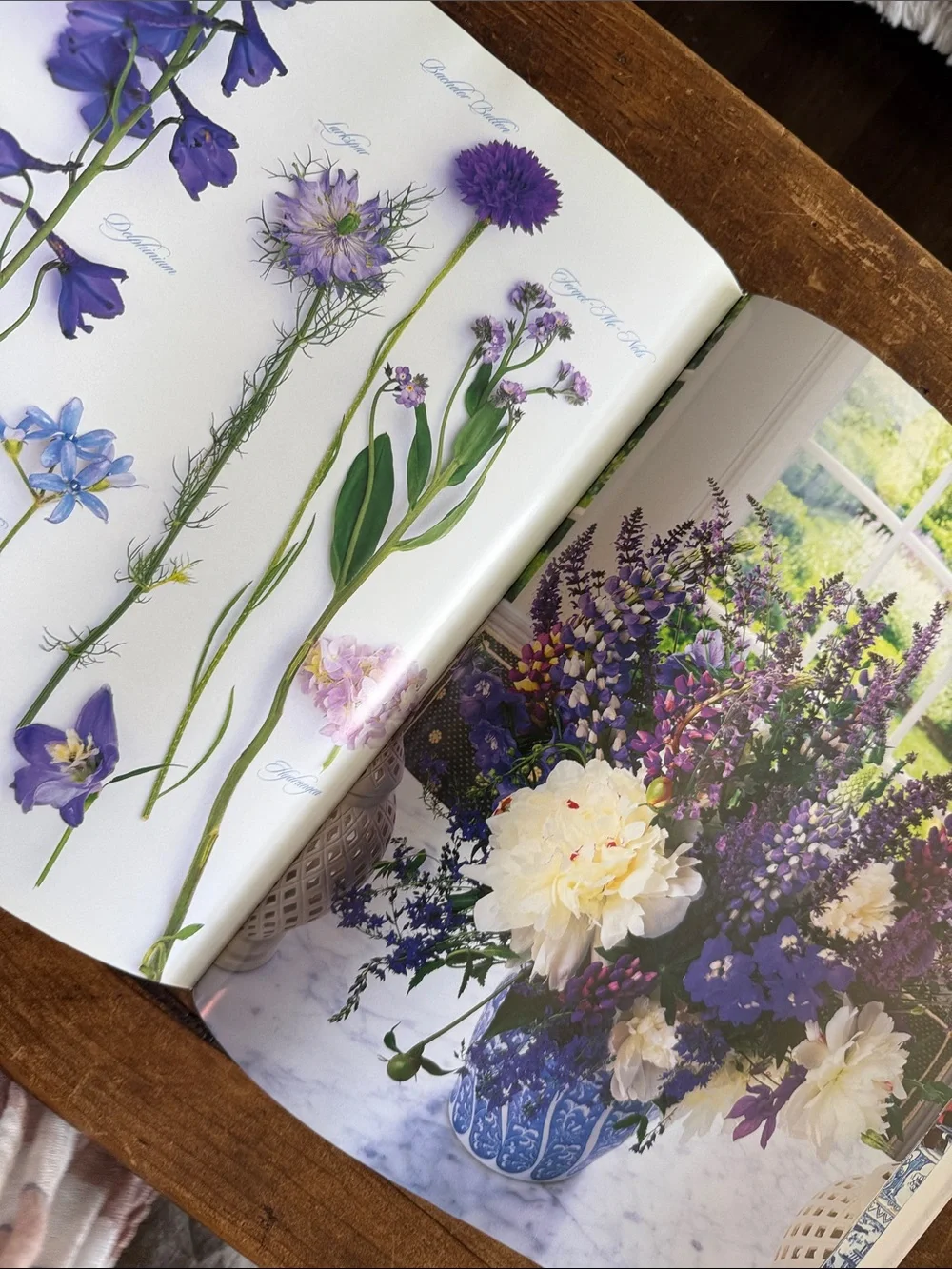 A Passion for Blue & White Coffee Table Book by Carolyne Roehm - Picture 5 of 15